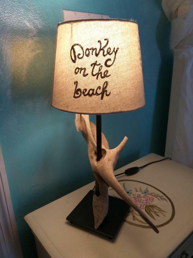 Donkey On The Beach Cobbs Cross Exterior foto